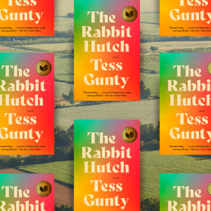 Tess Gunty's The Rabbit Hutch